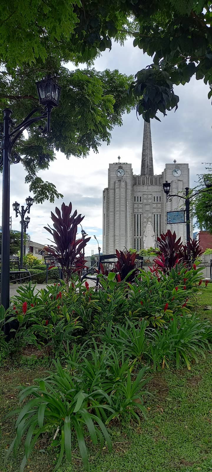 Vertical photo