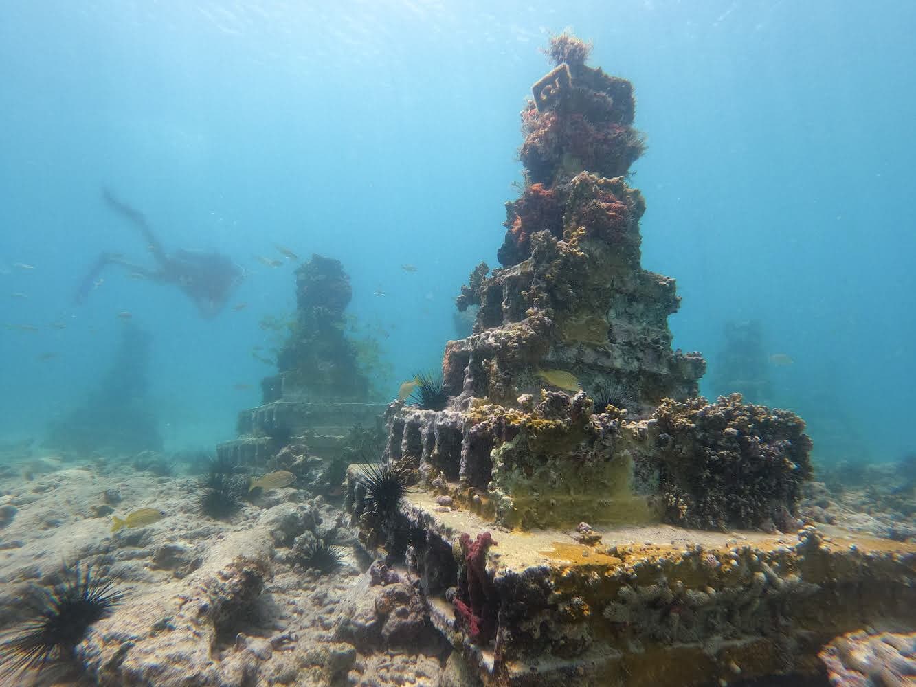 Boss Reef - Image 1