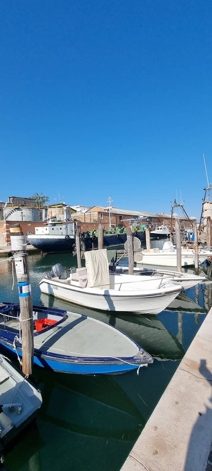 Local Life and Boats