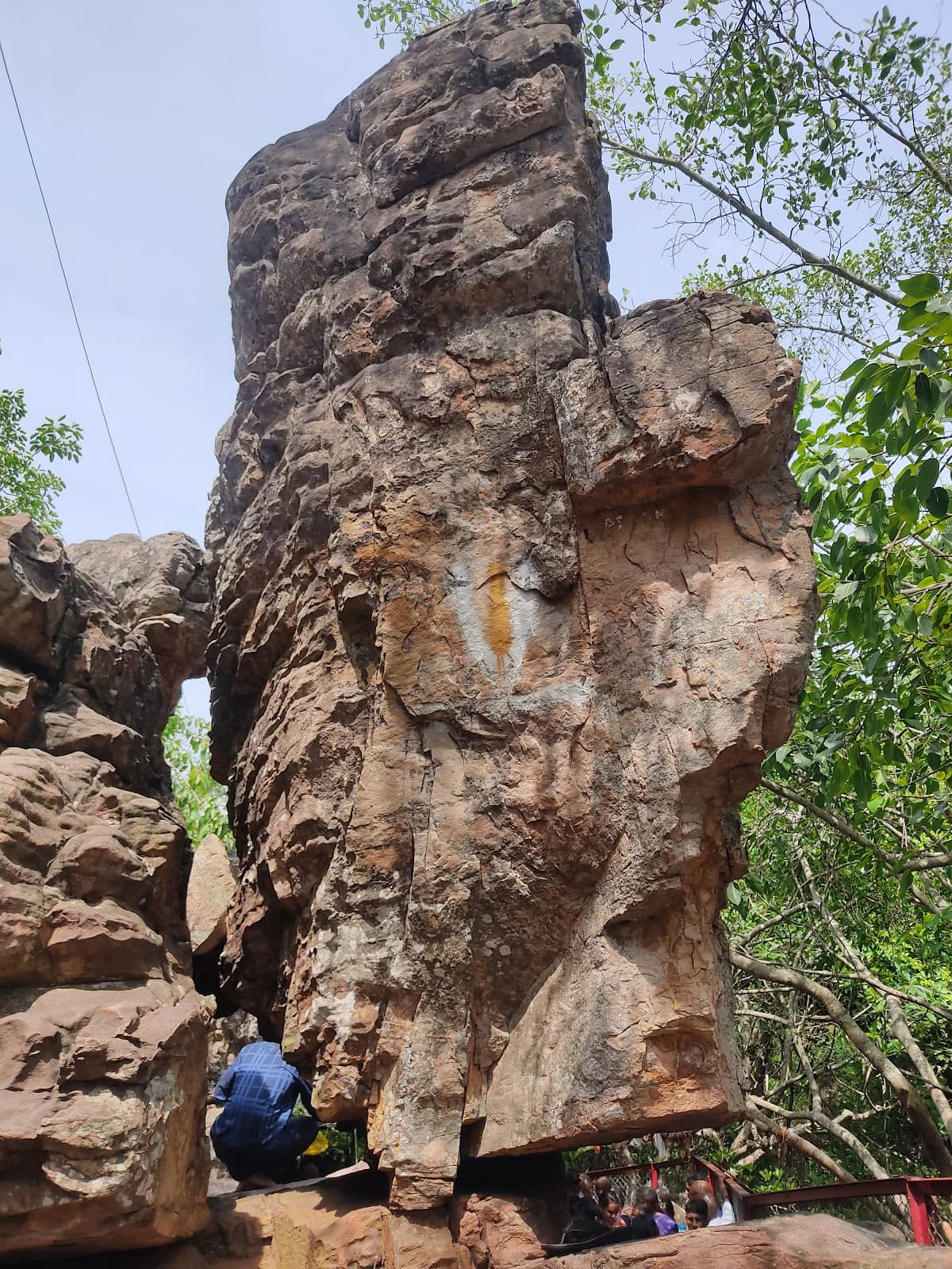 Vertical photo