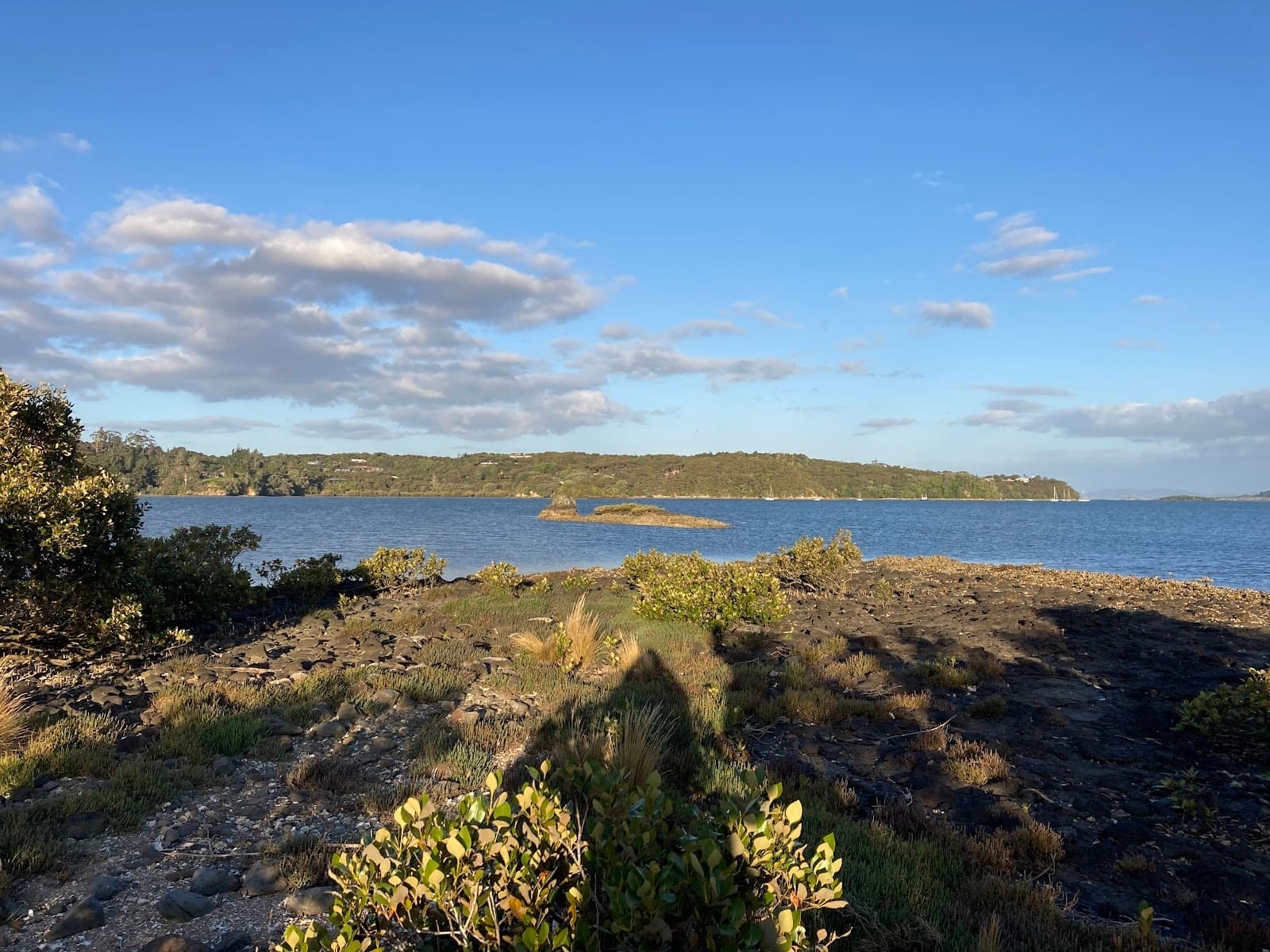 Aroha Island - Image 1