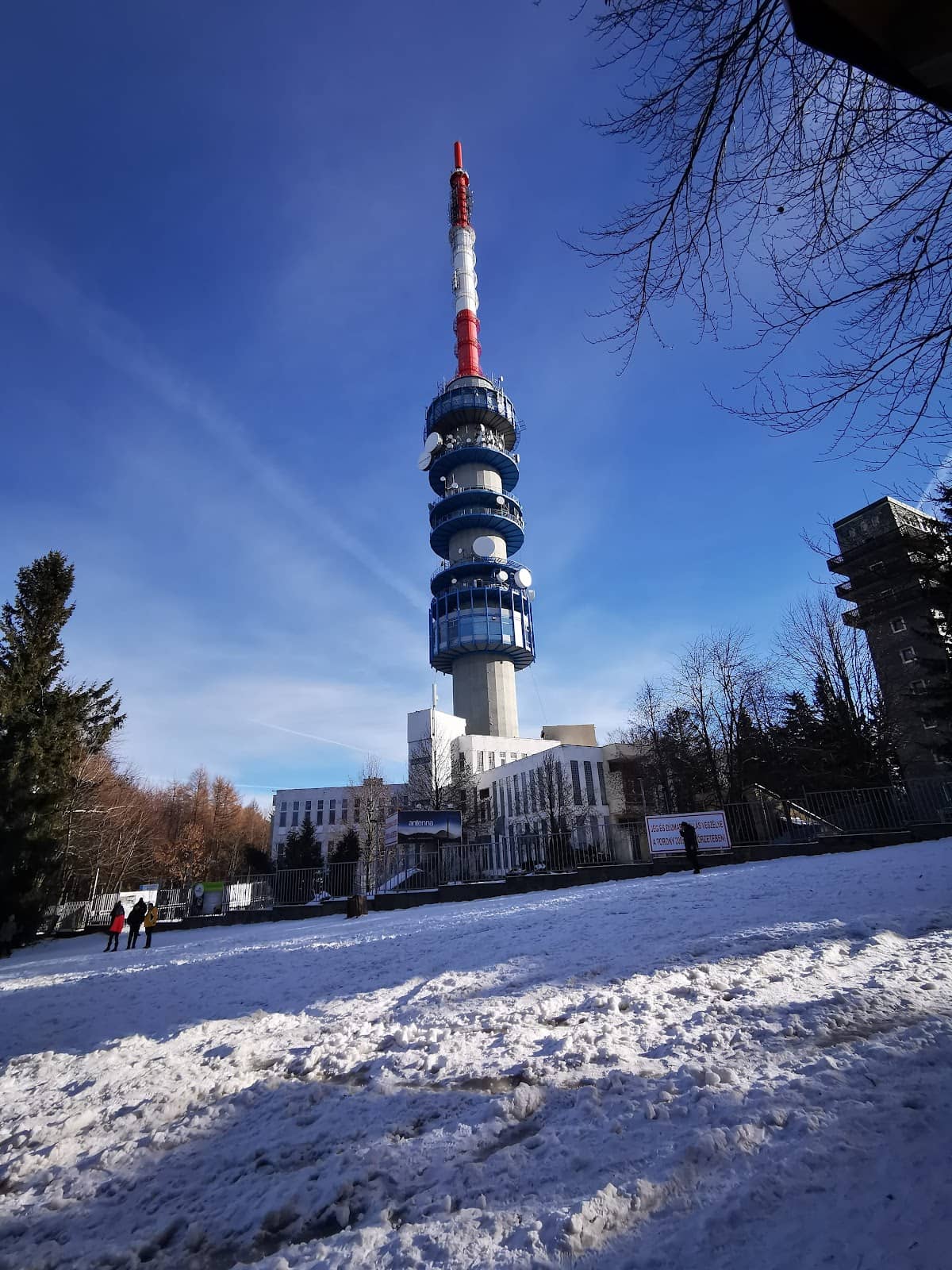 Vertical photo