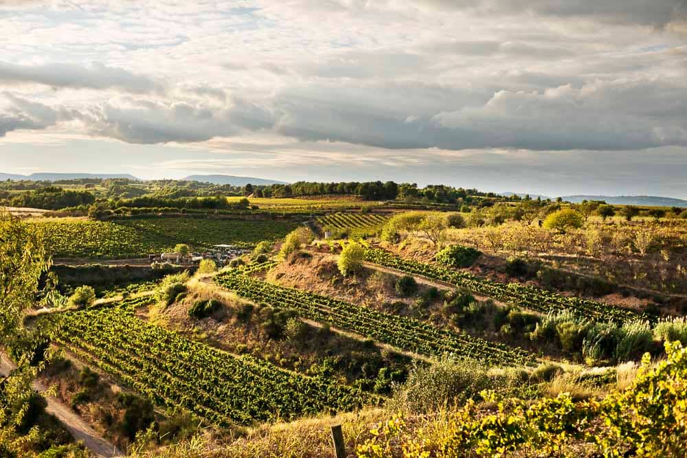 Sediment Removal Demonstration