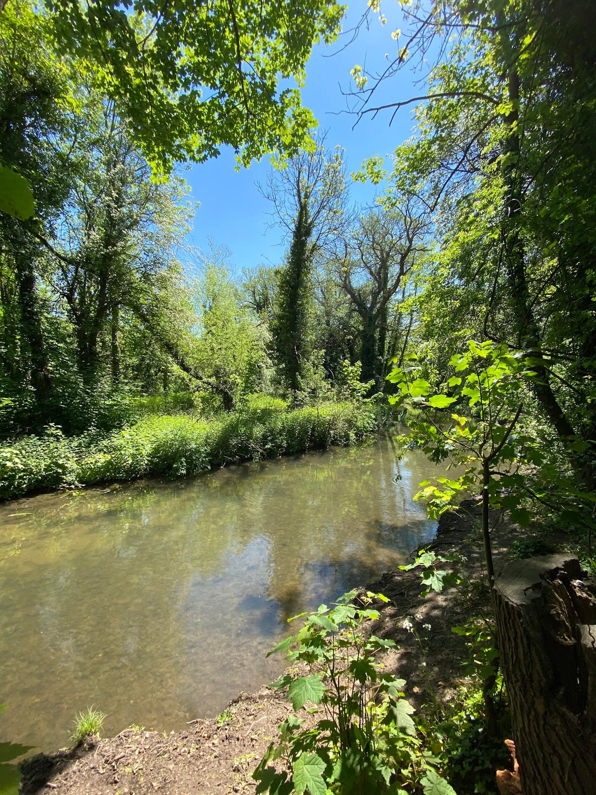 Lullingstone Country Park - Image 1