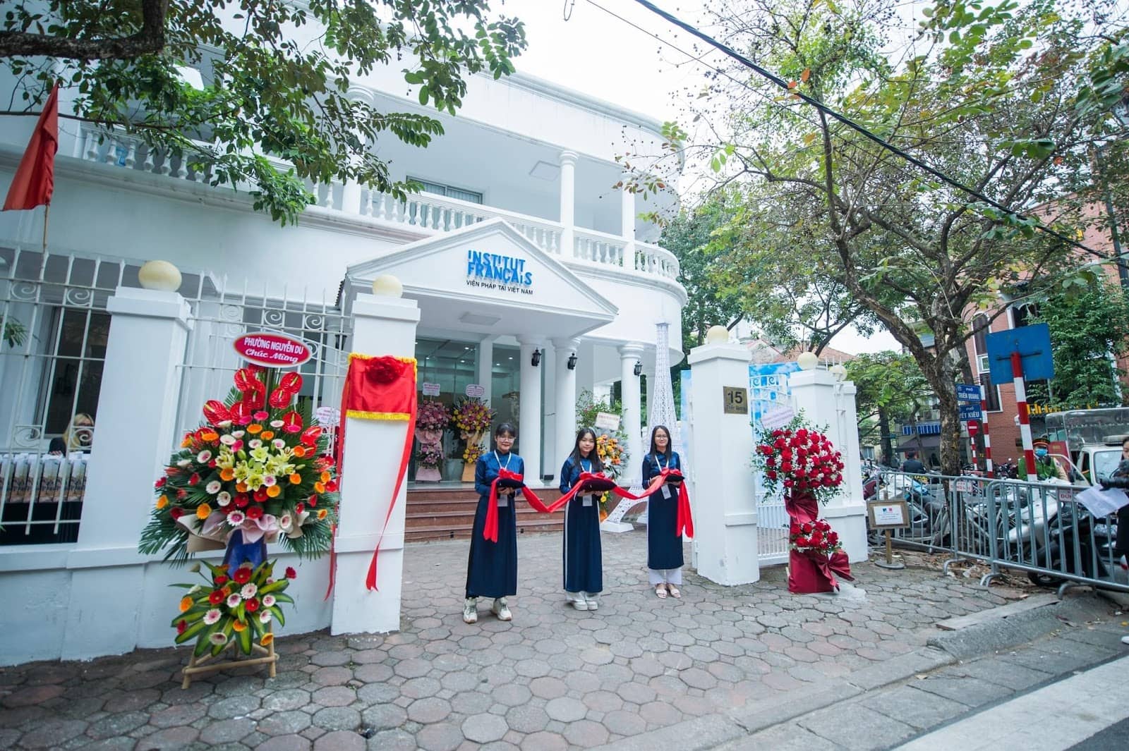 Live Music & Performances