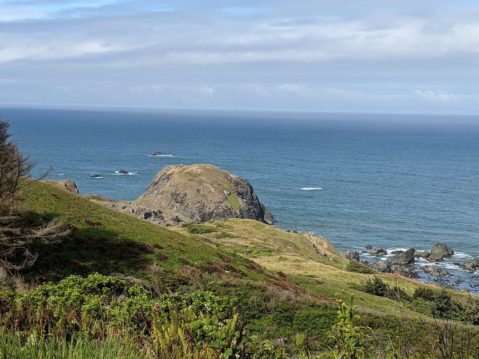 Oregon Coast Trail Access