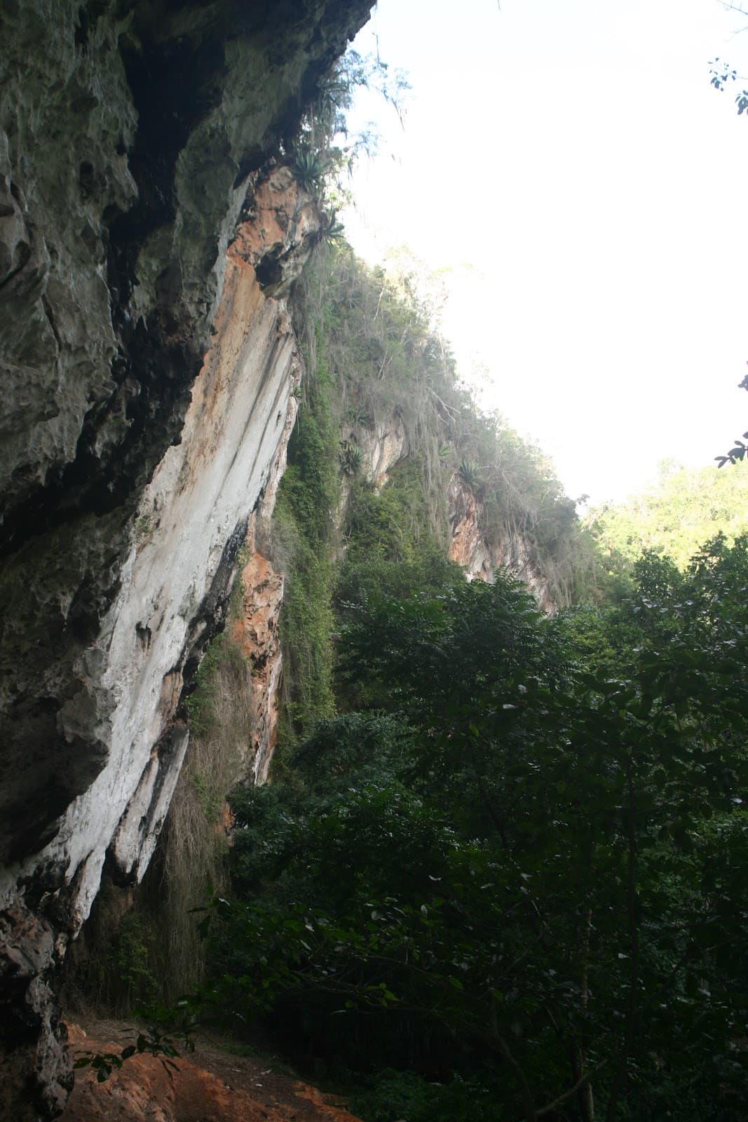 Reserva Ecológica Limones–Tuabaquey - Image 1