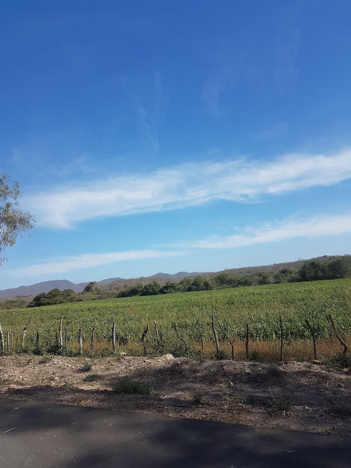 El Quelite - Image 1