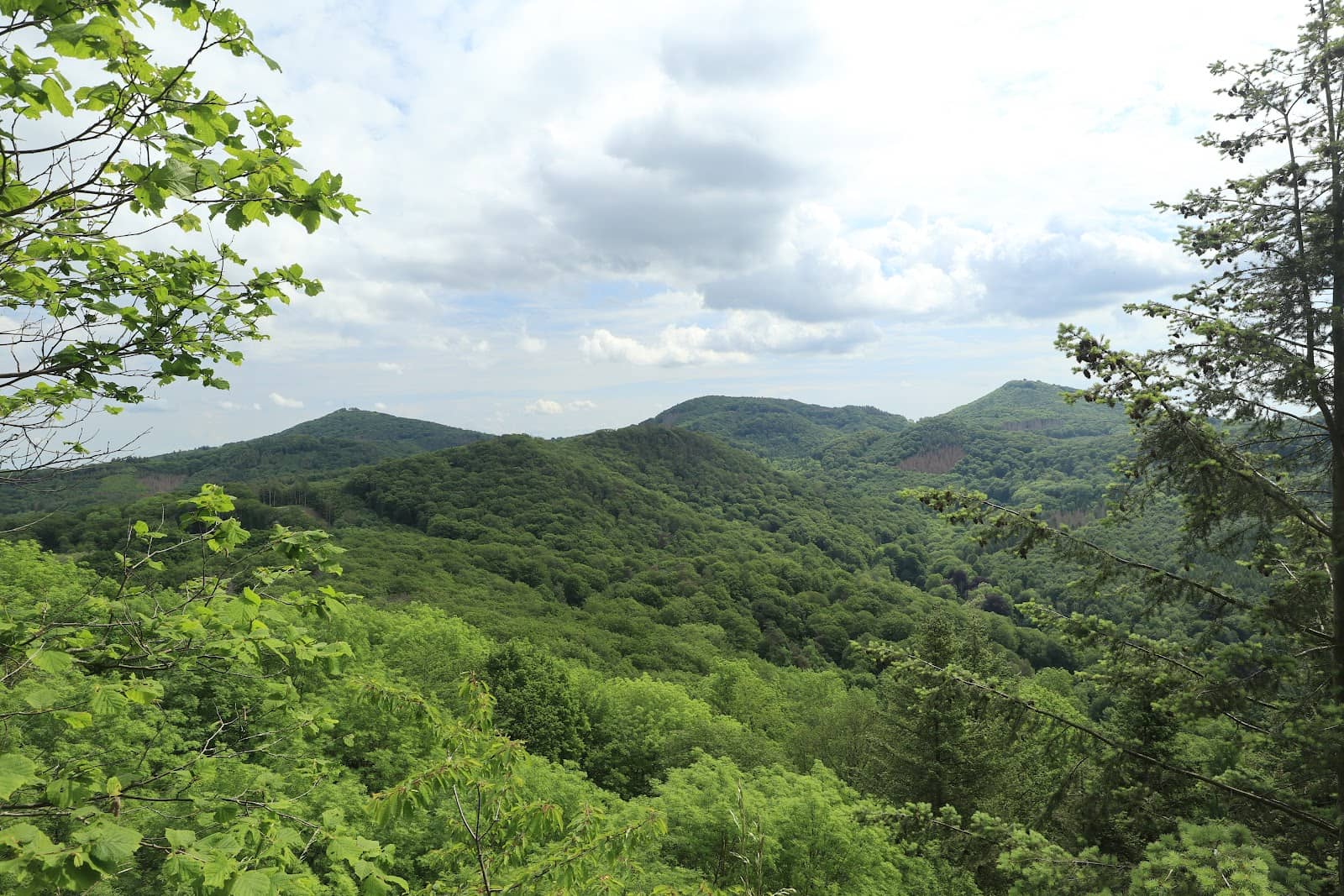 Historic Castle Ruins