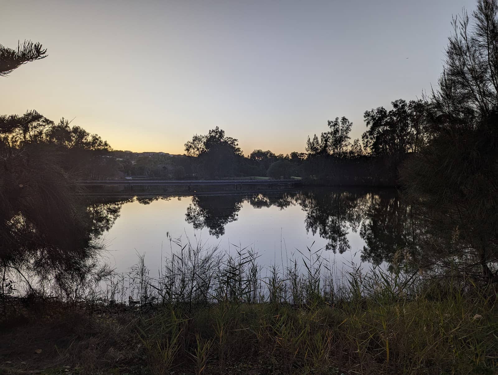 Dog-Friendly Off-Leash Area