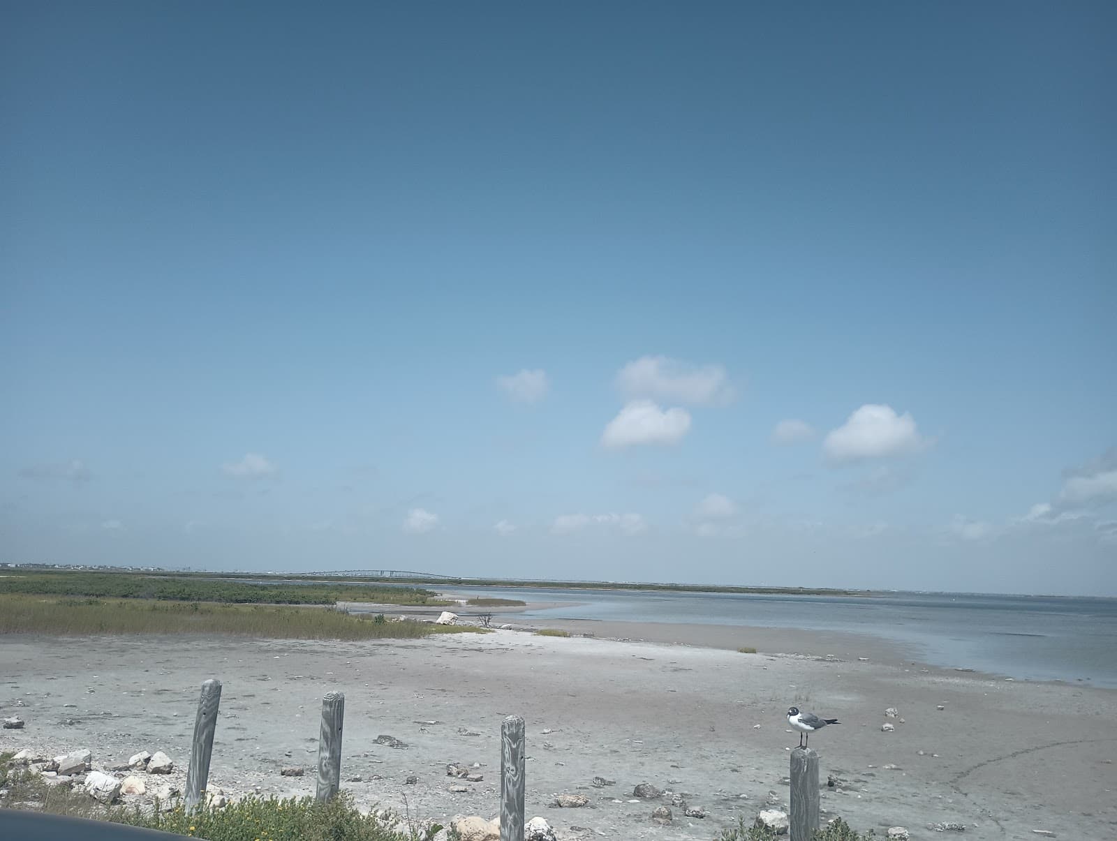 Packery Flats Coastal Habitat - Image 1