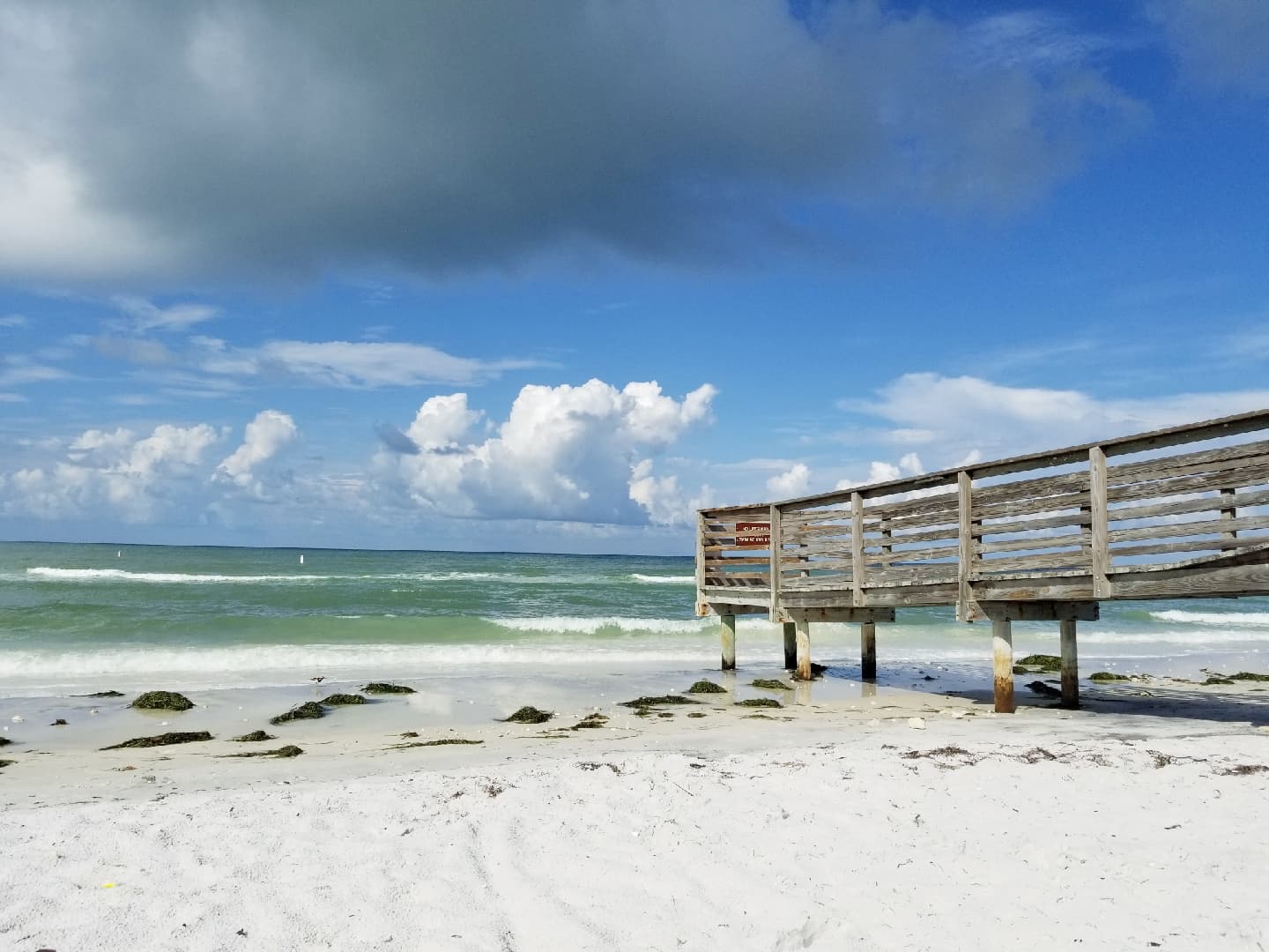 Honeymoon Island State Park - Image 1