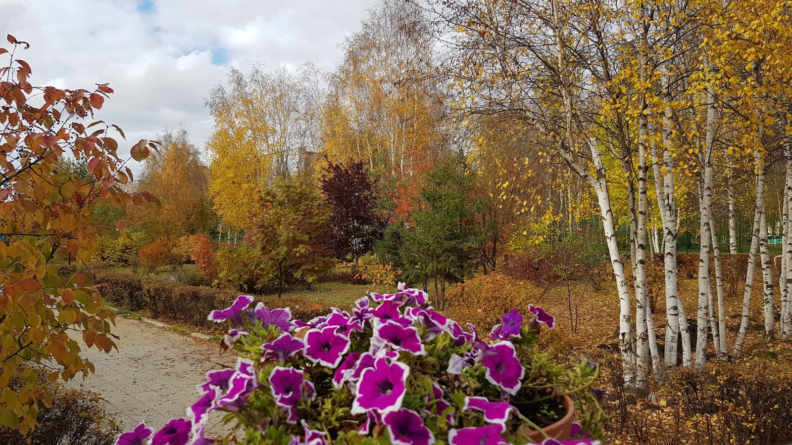 NEFU Botanical Garden - Image 1