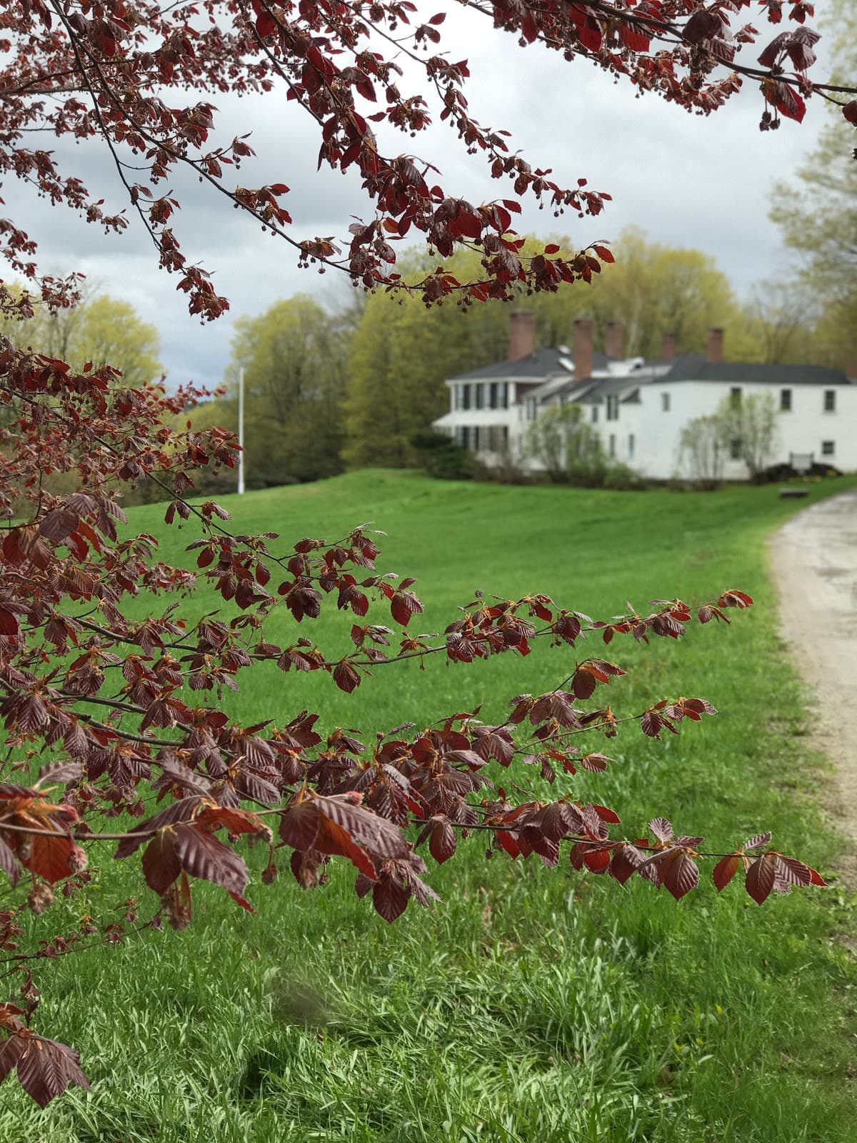 Vaughan Woods & Historic Homestead - Image 1