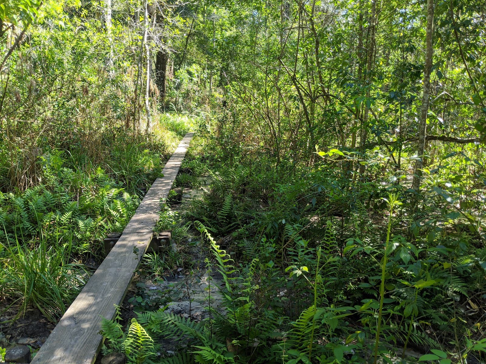 Hidden Waters Preserve - Image 1