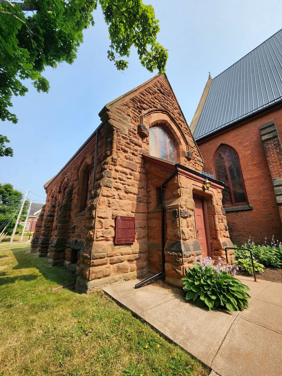 Serene Forest Setting