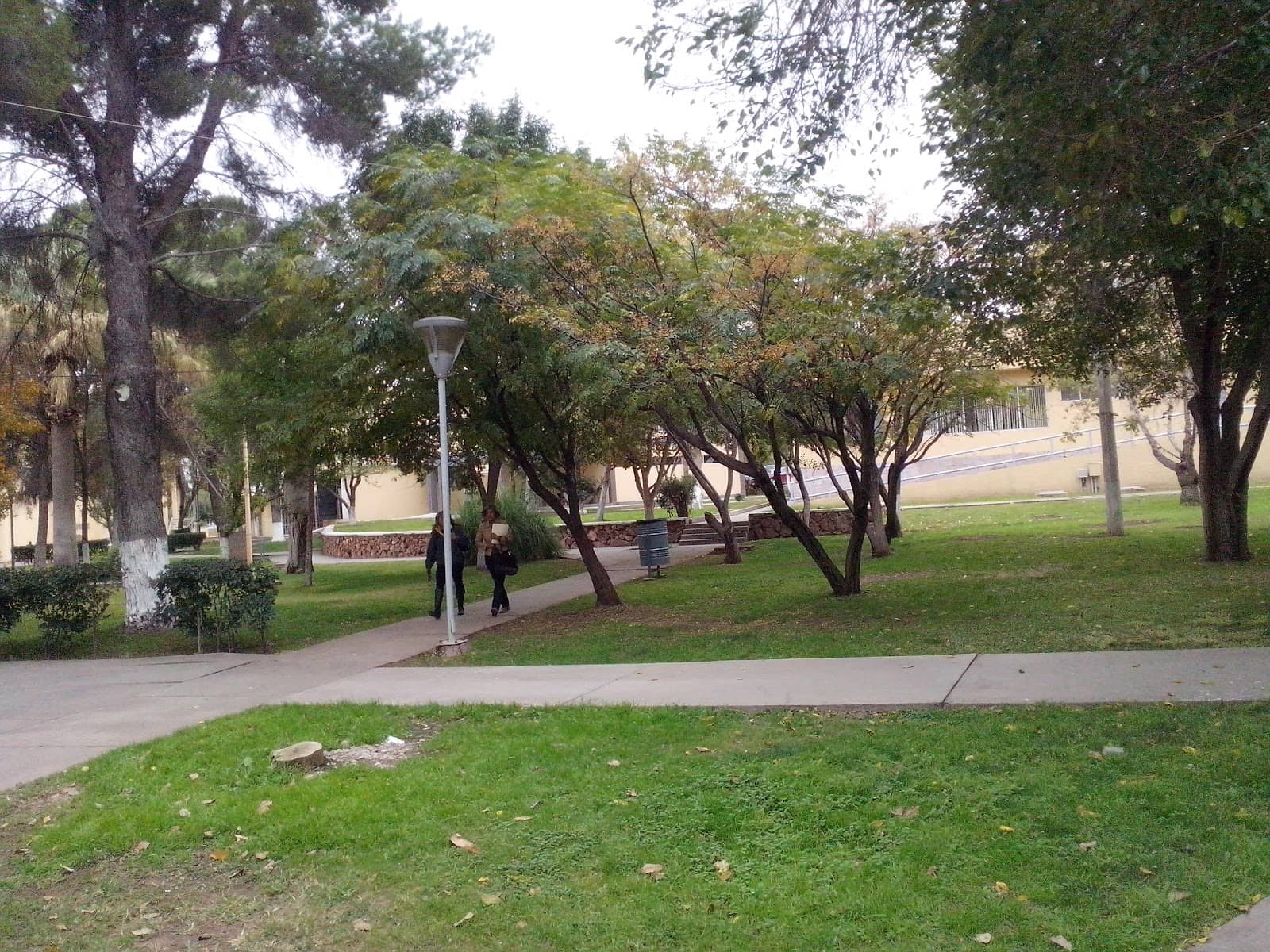 Vertical photo