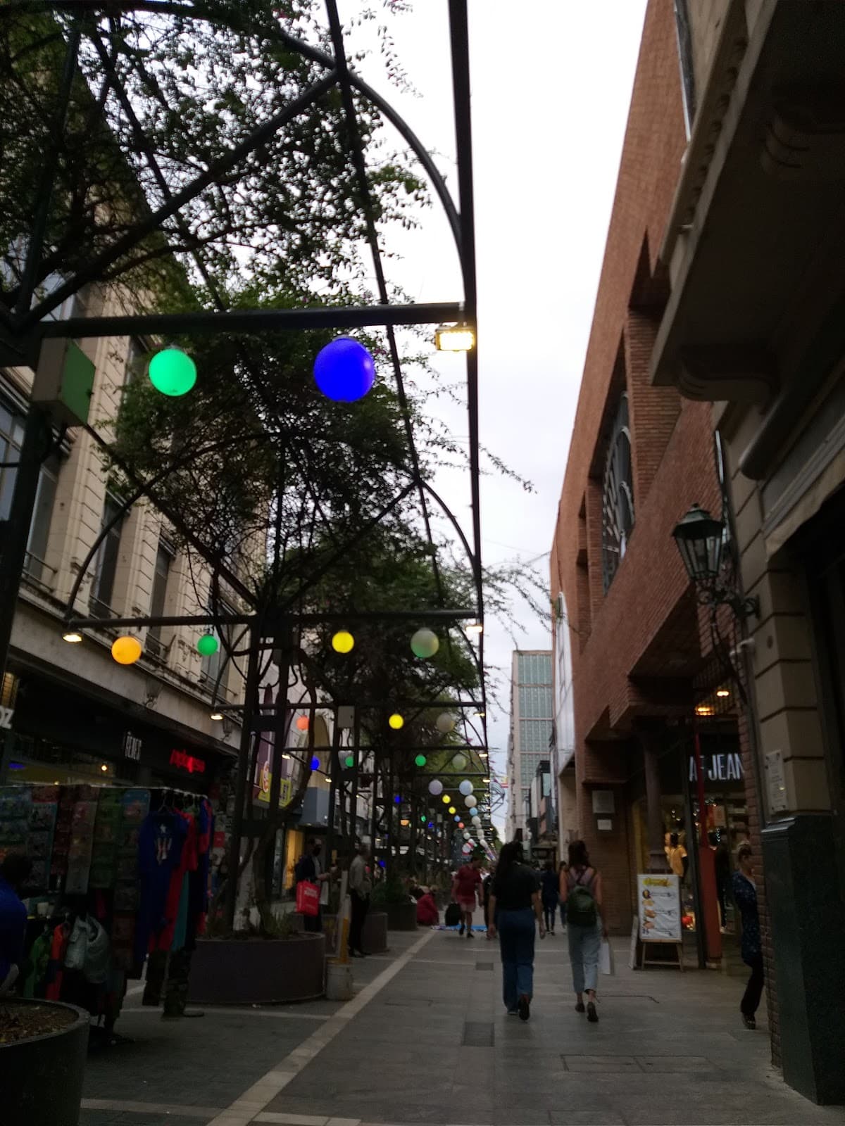 Peatonal 9 de Julio - Image 1