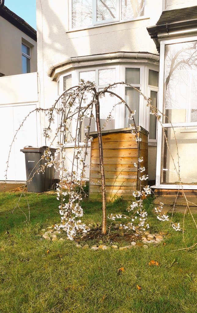 Moseley Birmingham - Image 1