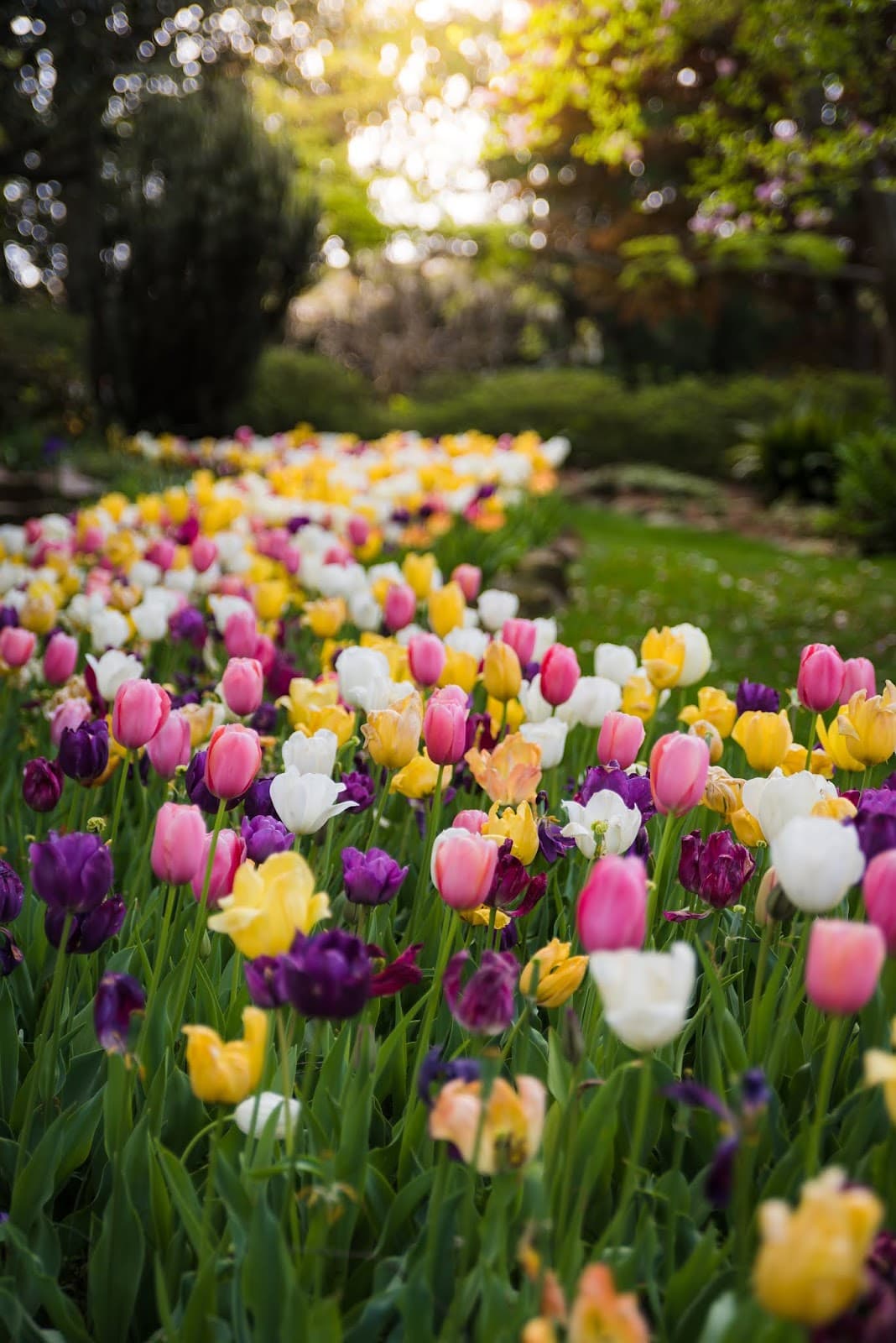 Memorial Garden (First Presbyterian) - Image 1