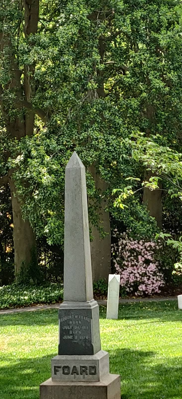 Vertical photo
