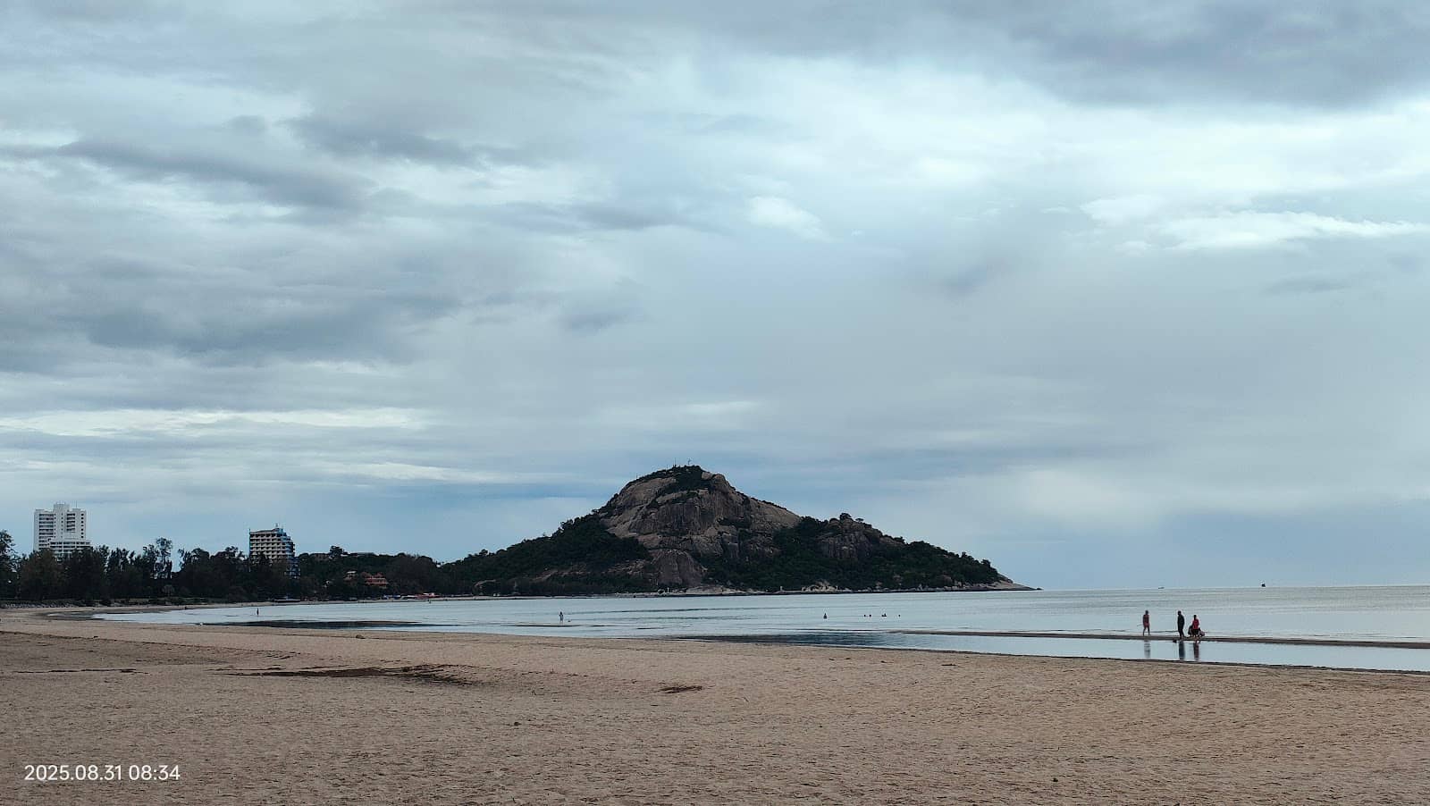Whale Skeleton Display