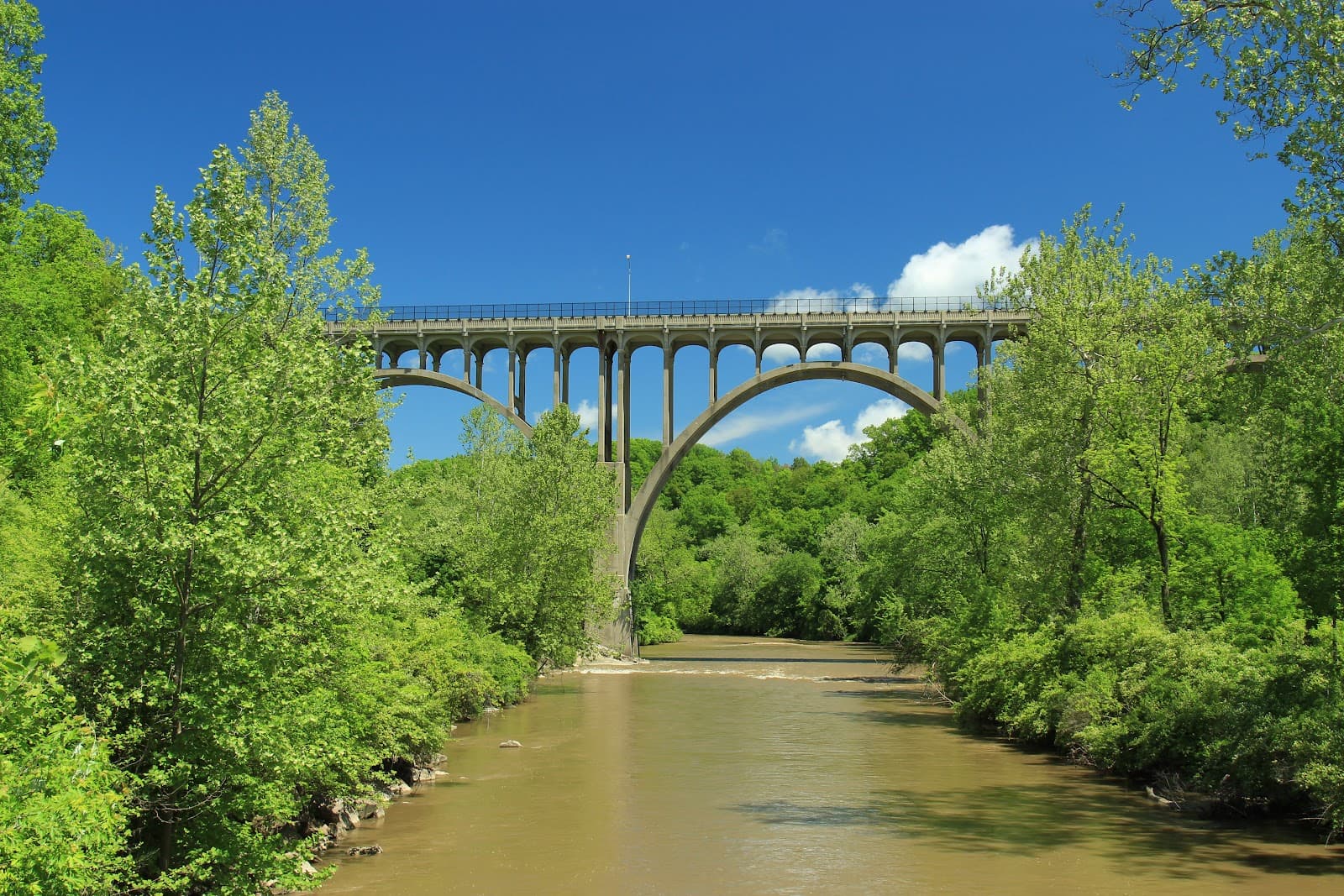 Brecksville-Northfield High Level Bridge (SR 82) - Image 1