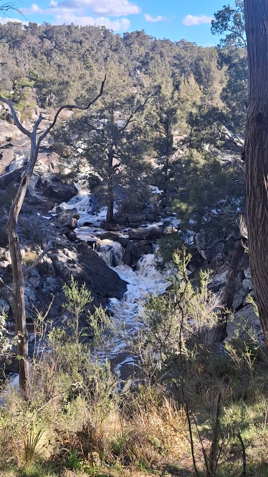 Vertical photo