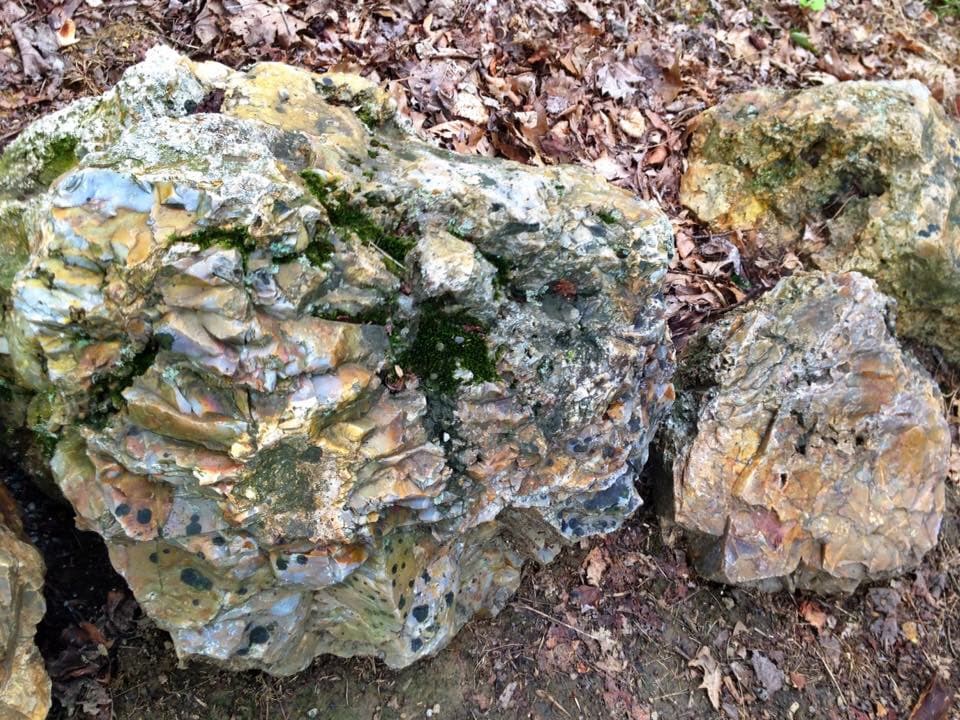 Flint Ridge Ancient Quarries & Nature Preserve - Image 1
