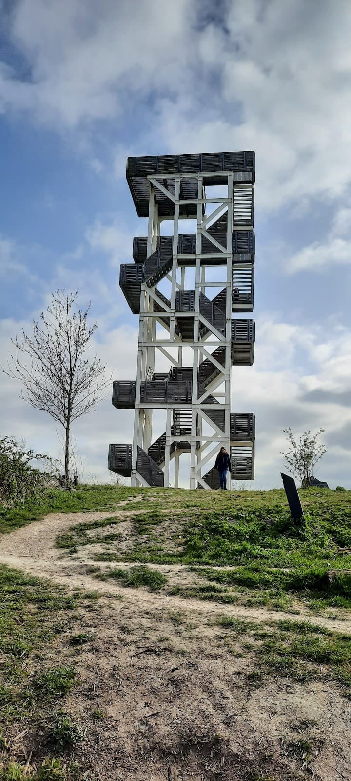 Uitkijktoren Hoge Bergse Bos - Image 1