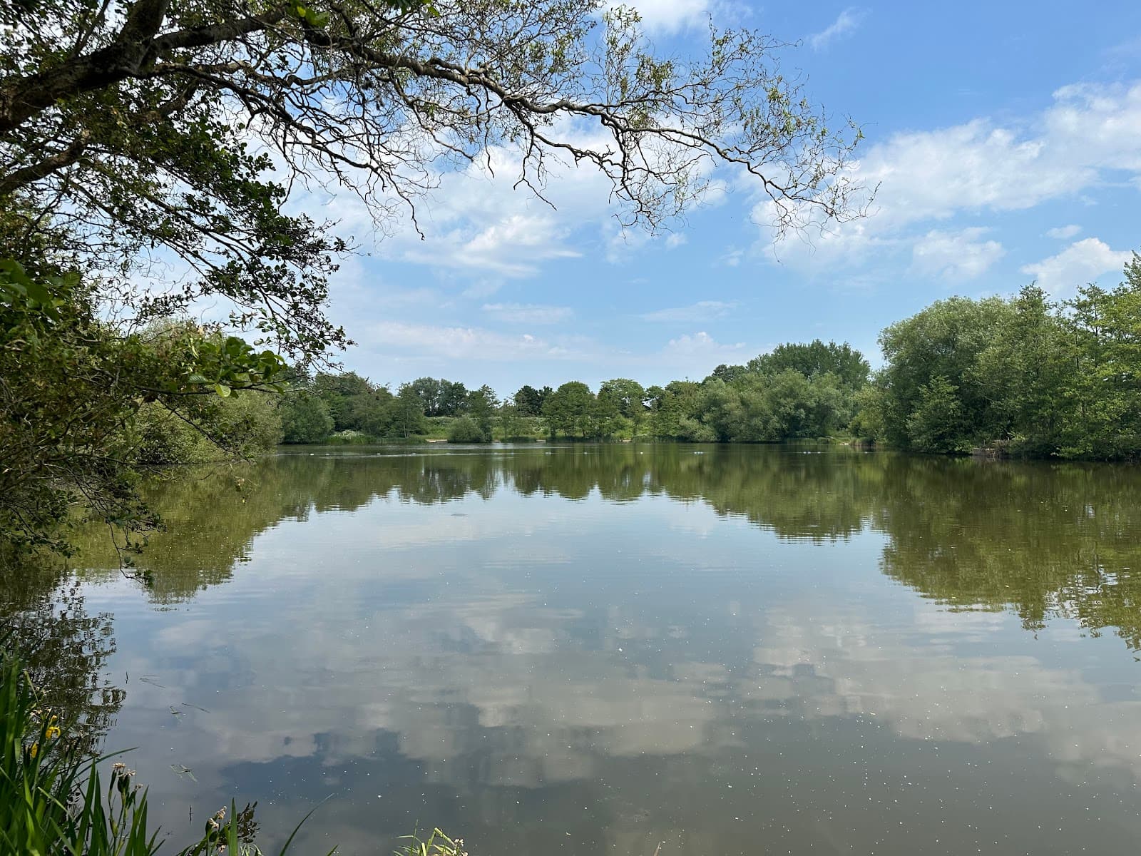 Lakeside Country Park - Image 1