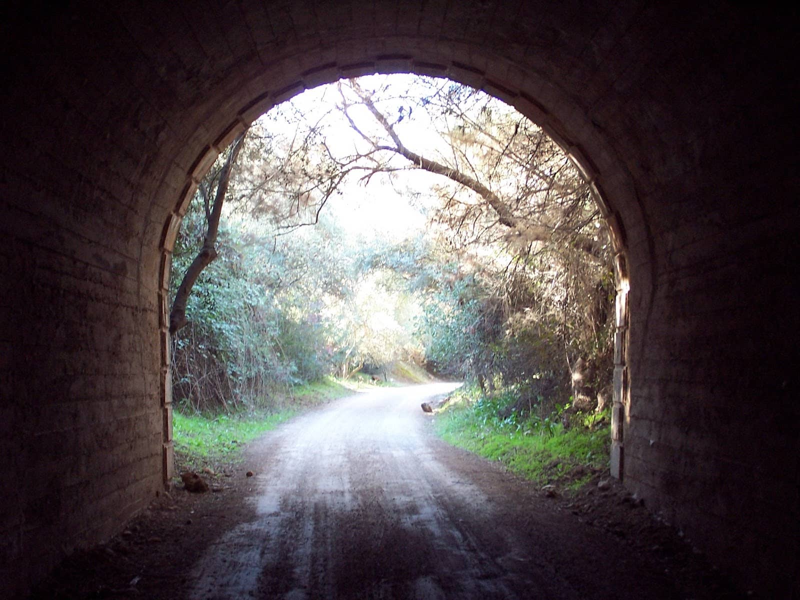 Vertical photo