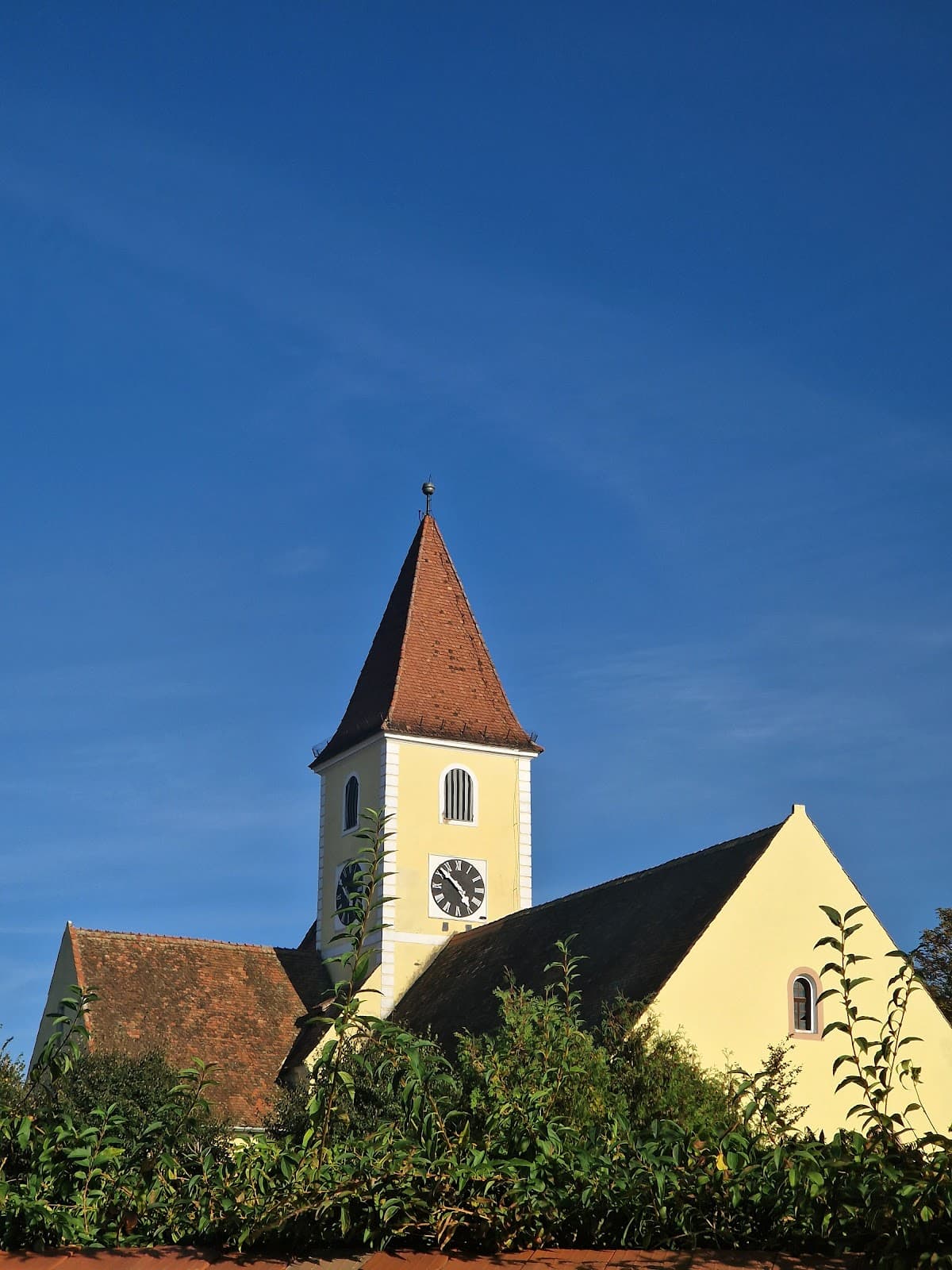 Turnișor Fortified Church - Image 1