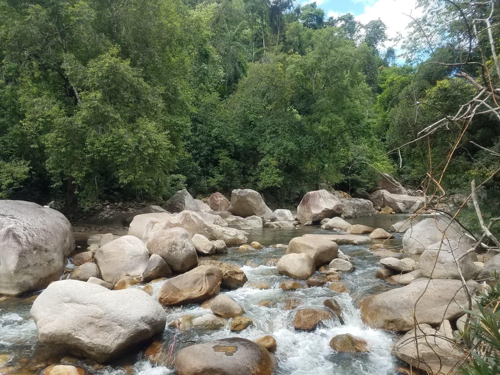 Hon Ba Nature Reserve - Image 1