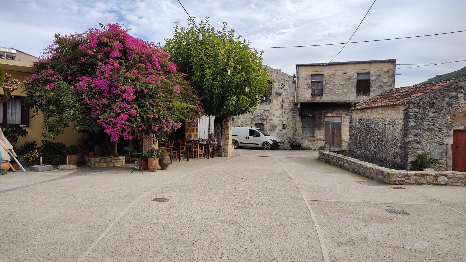 The Elusive Maza Cougar