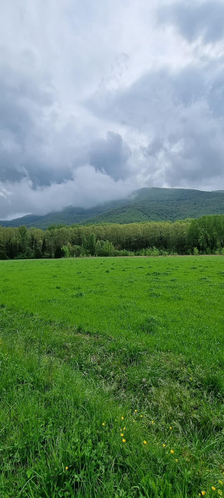 Via Verda del Carrilet (Olot–Girona) - Image 1