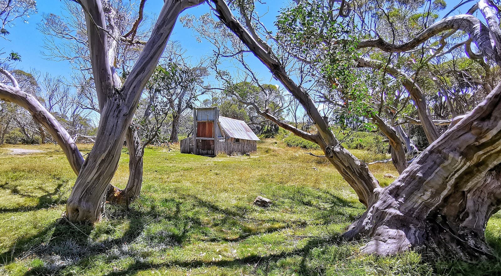 Wallace's Hut - Image 1