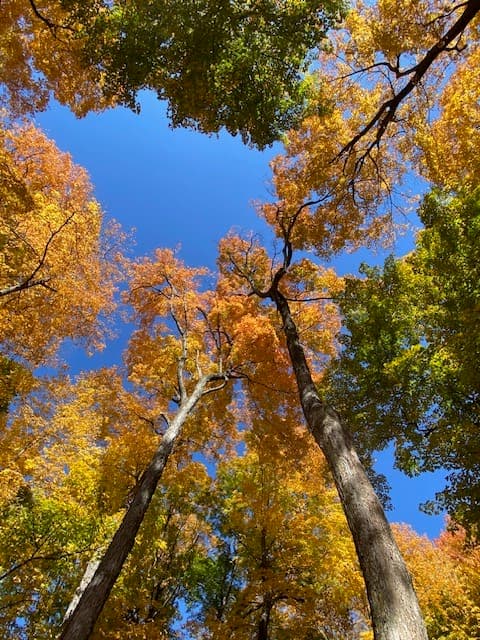 Sugar Grove Nature Center - Image 1