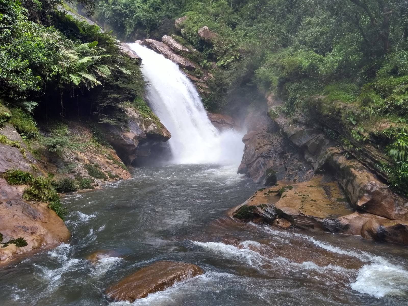 Refreshing Natural Pool