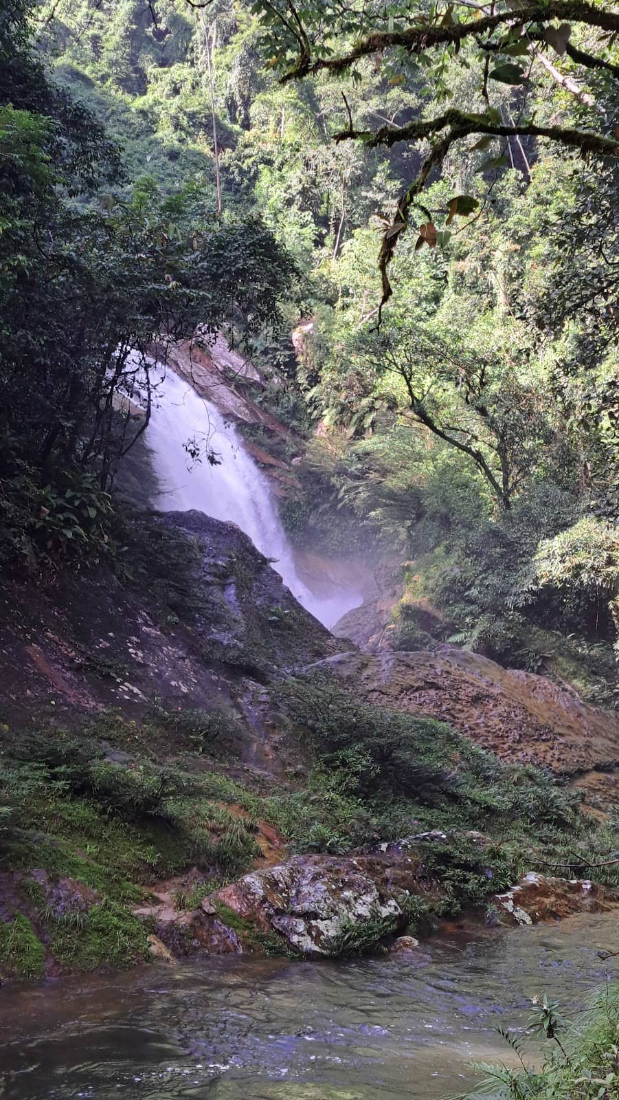 Vertical photo