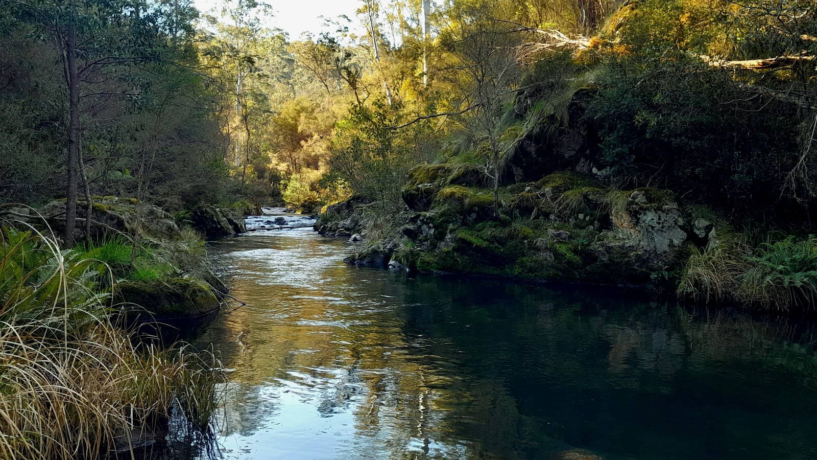 Access via Snowy River