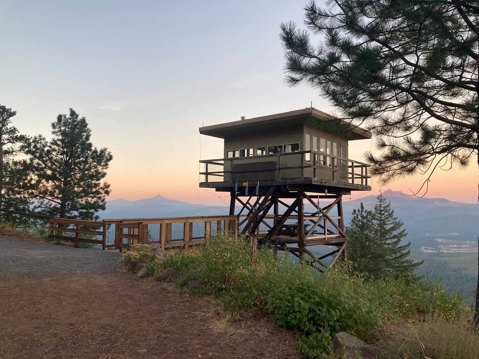 Secluded Forest Setting