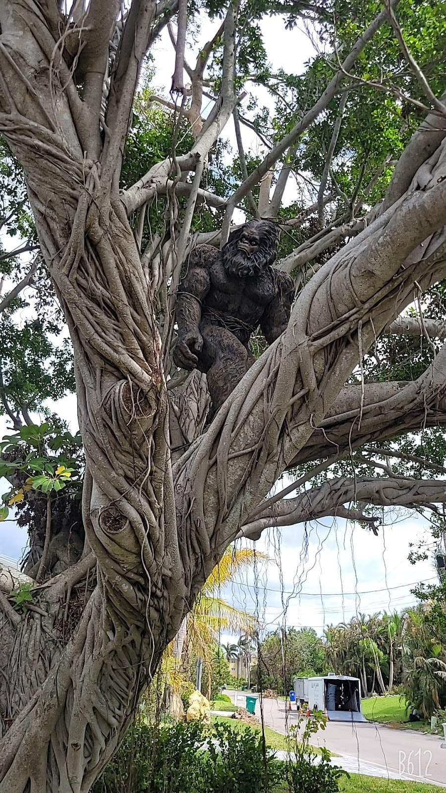 Great Calusa Blueway Paddling Trail - Image 1