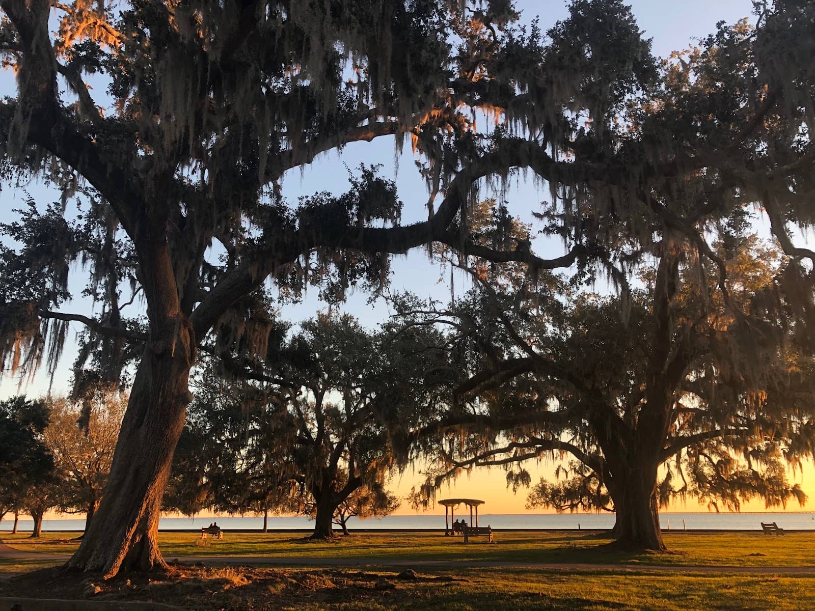 The Serene Lakefront Path