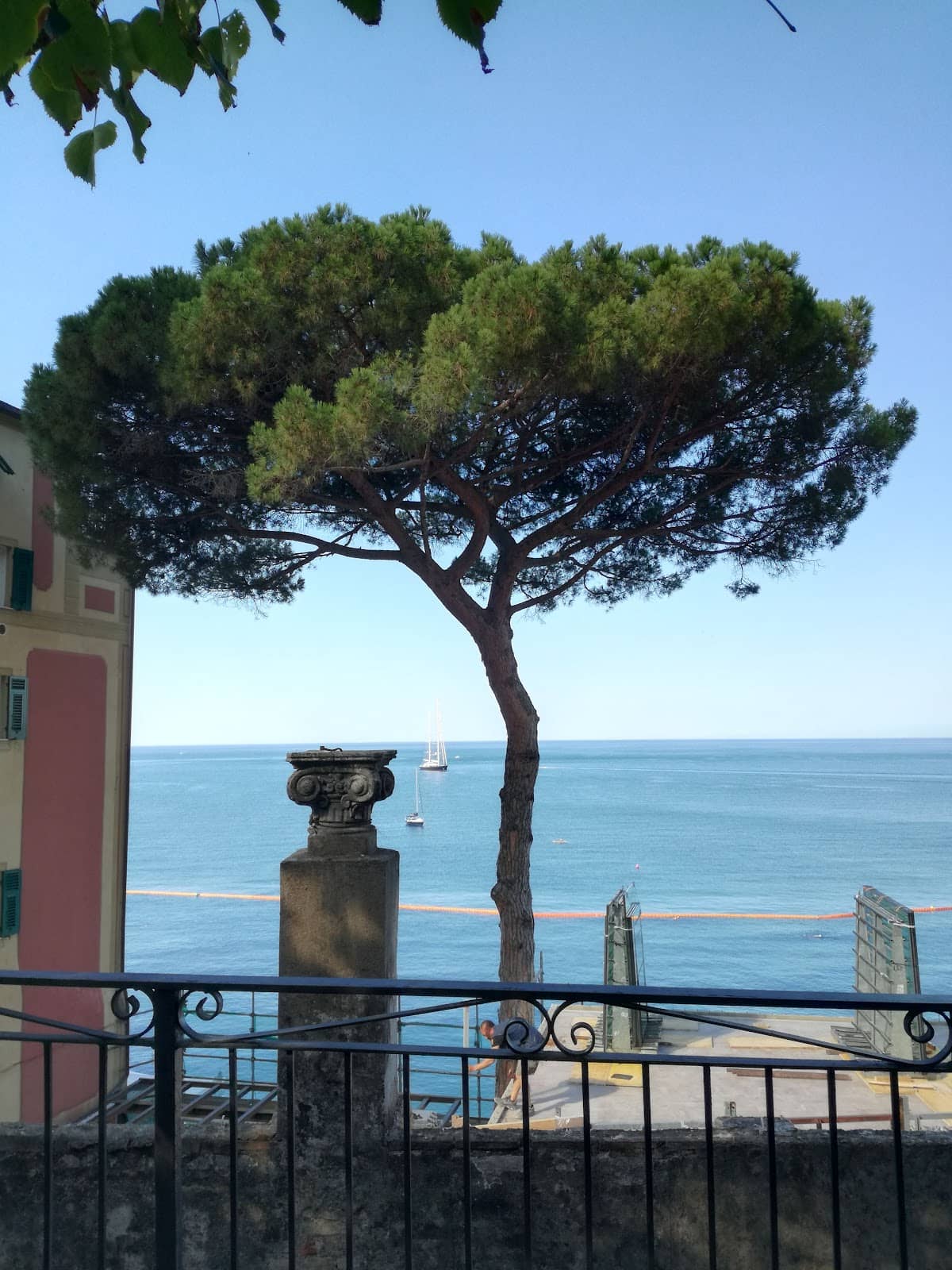 Vertical photo