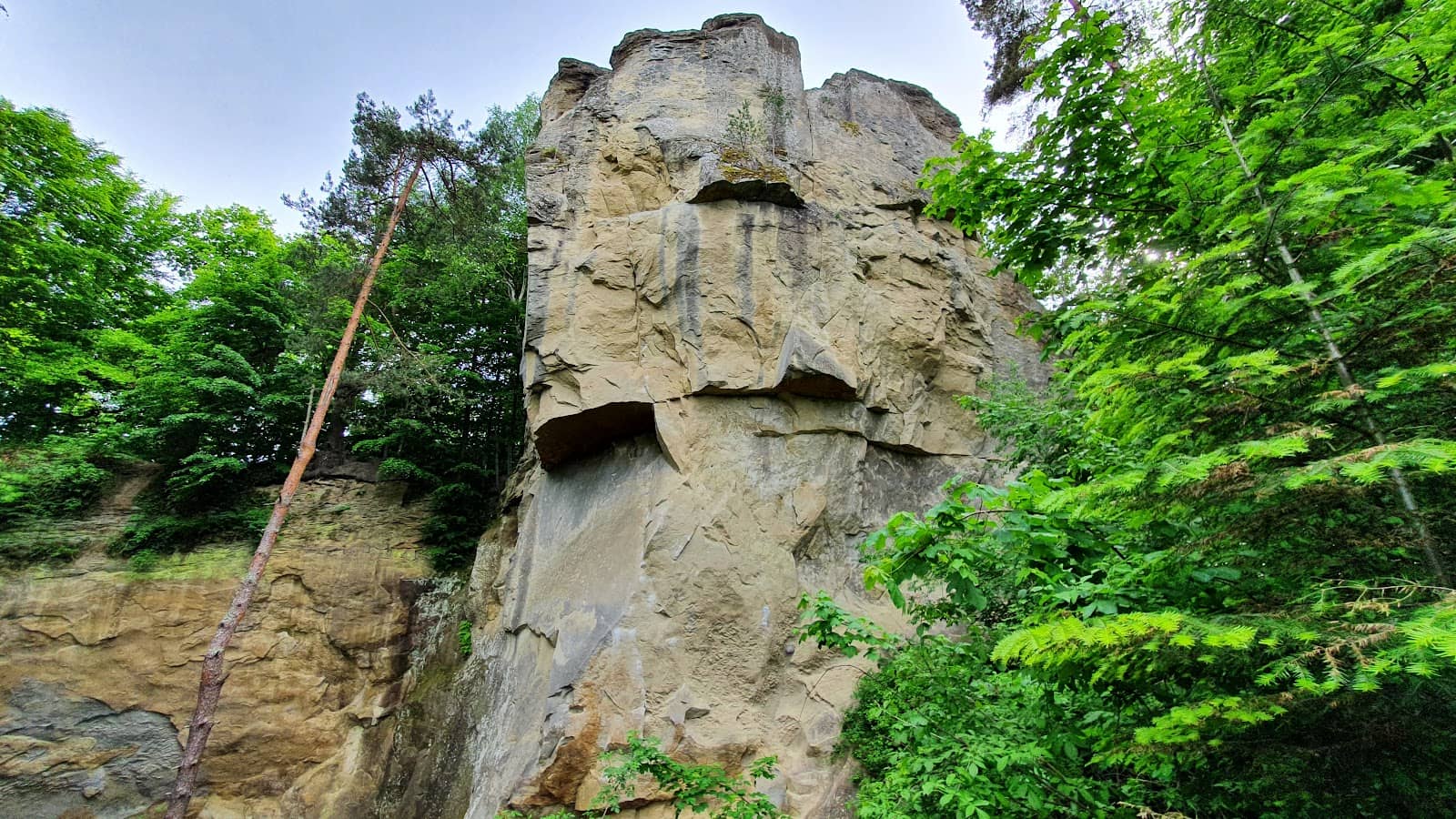 Scenic Hiking Trails