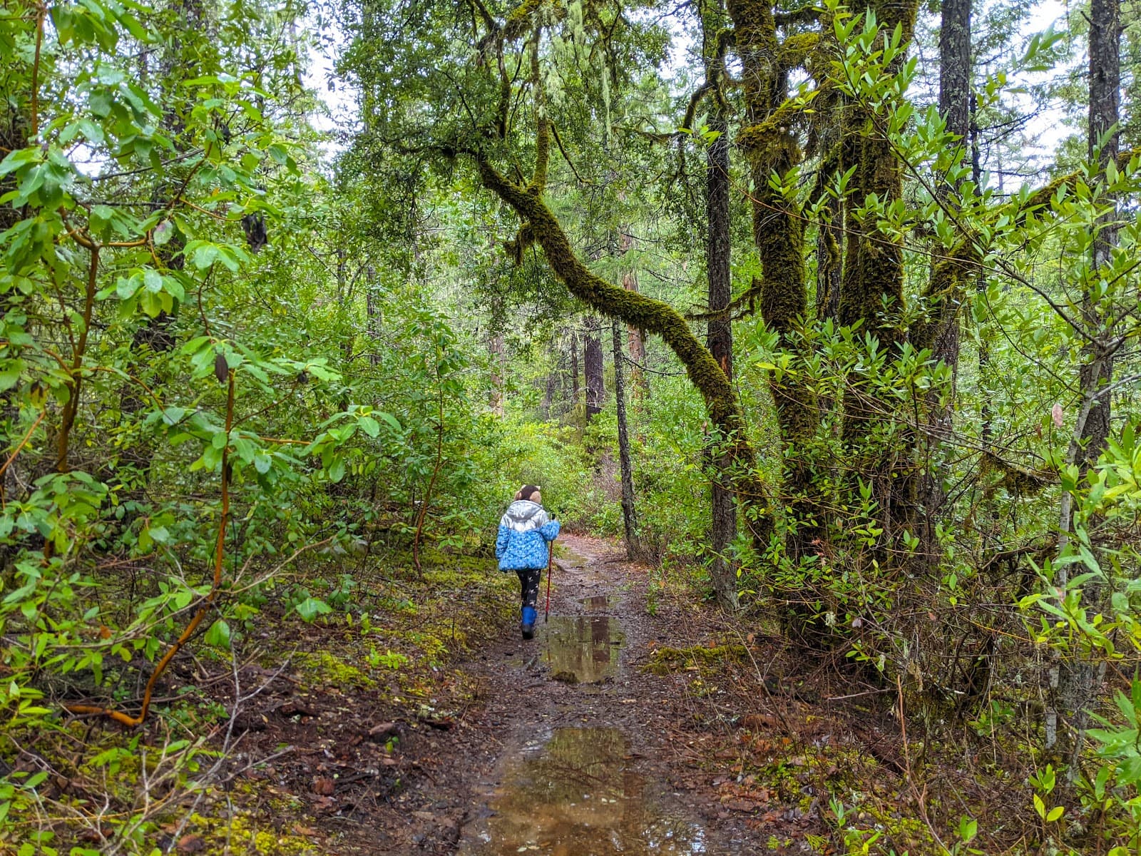 Limpy Creek Interpretive Trail - Image 1