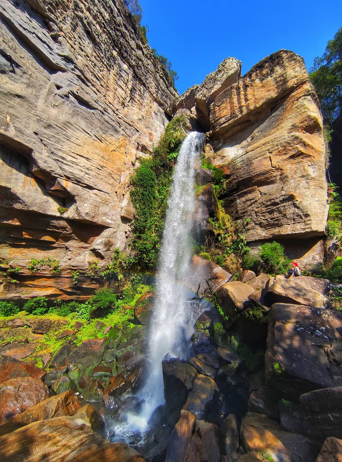 Vertical photo