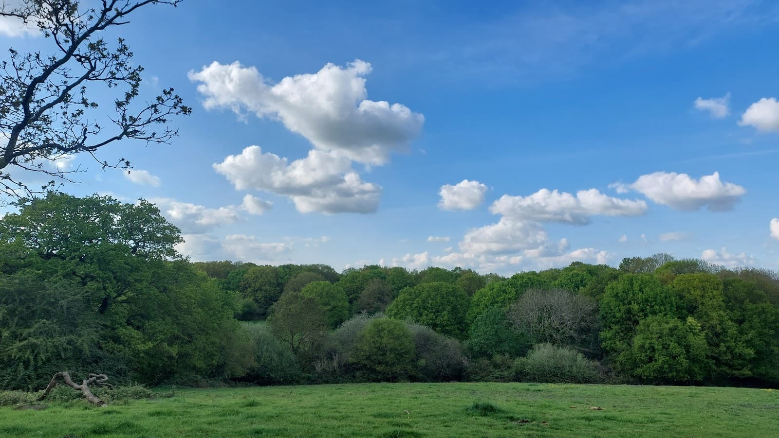 Mill Meadows - Image 1