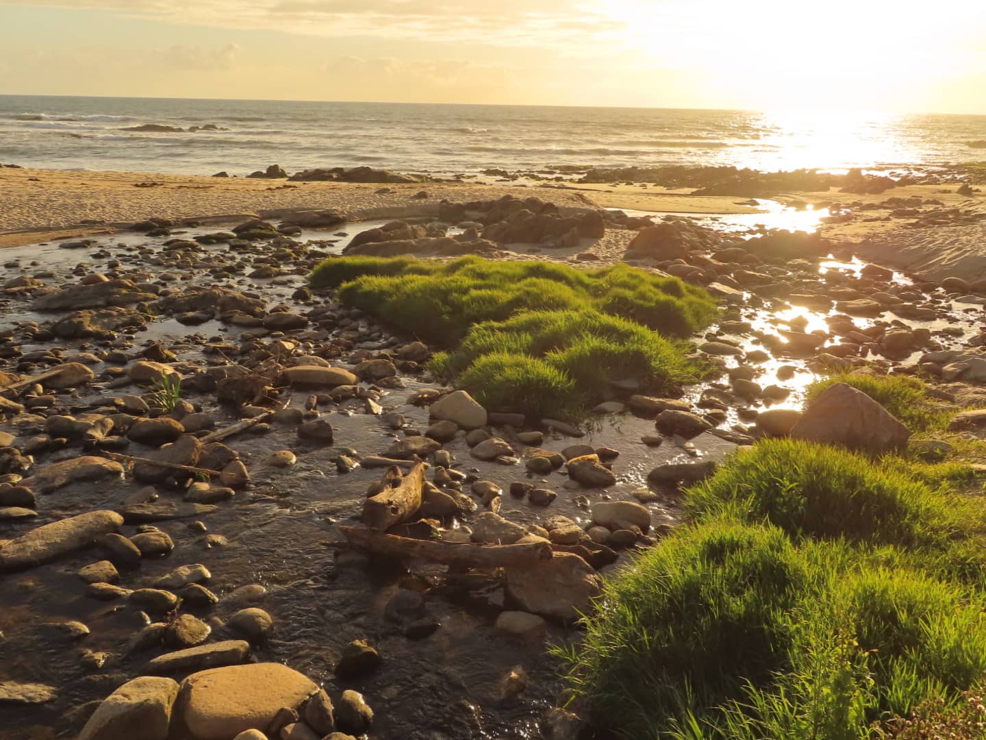 Local Beachfront Cafes